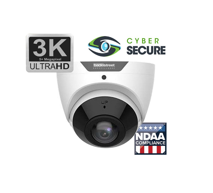 Backstreet Surveillance CSK2-CSFD180 2 Camera 180° Wide View Dome System