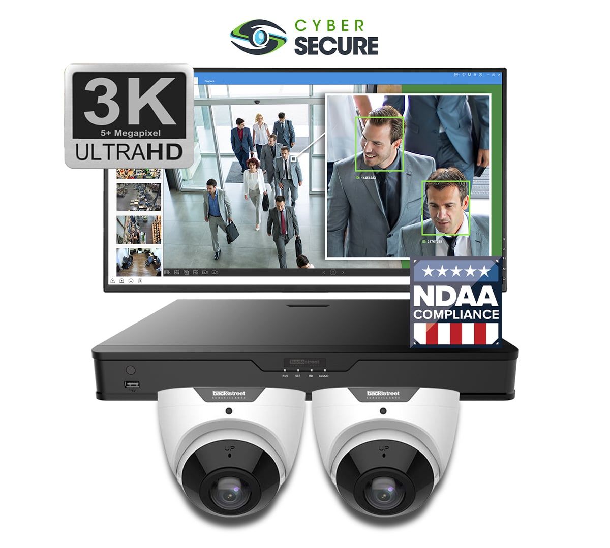 Backstreet Surveillance CSK2-CSFD180 2 Camera 180° Wide View Dome System